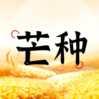 芒种实景节气封面次图 模板ID：66566
