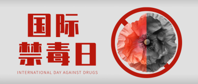 国际禁毒日宣传推广公众号首图 模板ID：67151