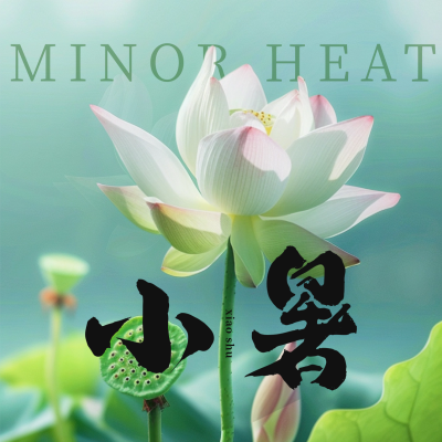 夏季实景小暑节气荷花方形海报 模板ID：67397