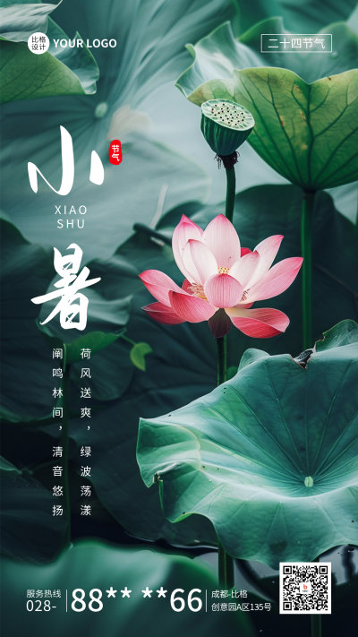 小暑节气荷花实景祝福宣传海报 模板ID:67598