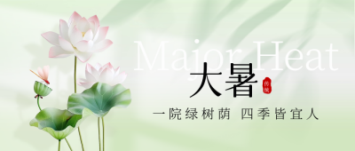 大暑节气荷花封面首图 模板ID：68482