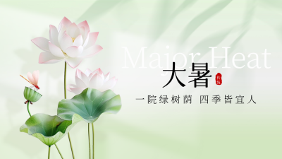 大暑节气荷花公众号新图文封面图 模板ID：68481