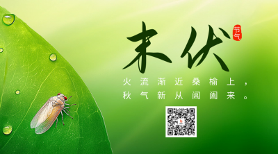 末伏节气祝福宣传二维码 模板ID：69187