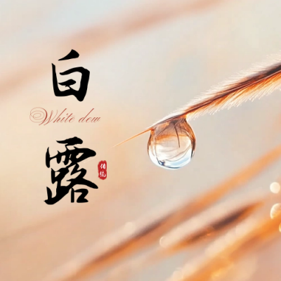 白露节气露珠实景公众号次图 模板ID：69551