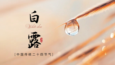 白露节气祝福问候公众号新图文封面图 模板ID：69550