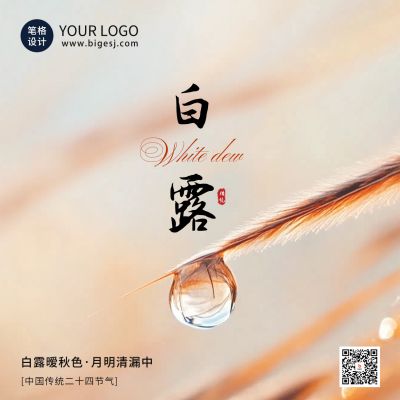 白露节气露珠实景方形海报 模板ID：69549