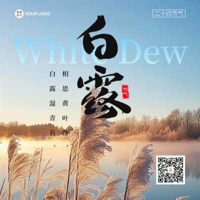白露节气芦苇实景宣传方形海报 模板ID：69623
