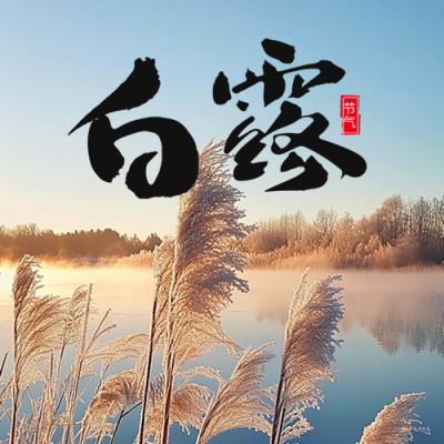 白露节气芦苇实景宣传公众号次图 模板ID：69622