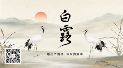 白露节气手绘怀旧风二维码 模板ID：69729