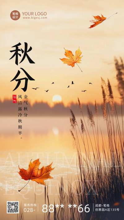 秋分节气实景枫叶海报 模板ID:70376