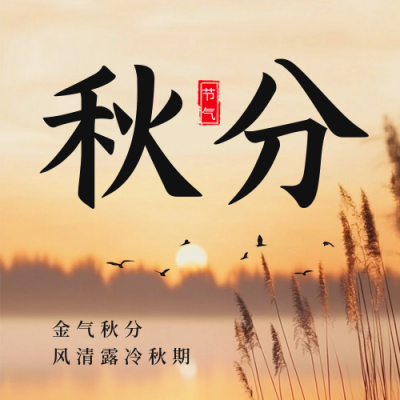 秋分节气实景枫叶公众号次图 模板ID：70374