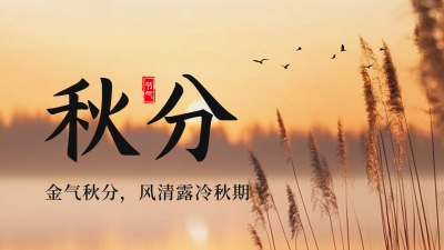 秋分节气实景芦苇公众号新图文封面图 模板ID：70373