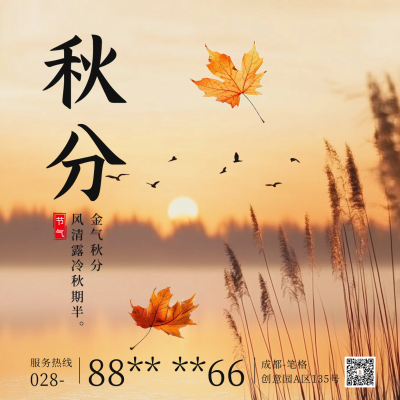 秋分节气实景枫叶方形海报 模板ID：70372