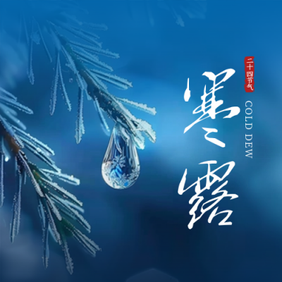 寒露节气水珠植物实景封面次图 模板ID：70778