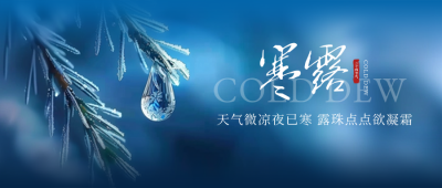 寒露节气植物水珠实景封面首图 模板ID：70773