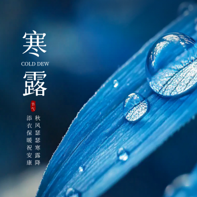 寒露节气实景祝福方形海报 模板ID：70827