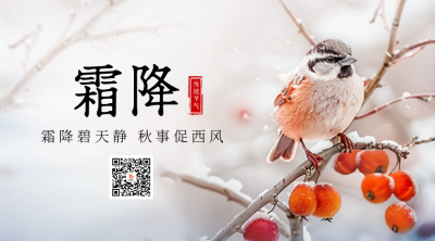 霜降节气小鸟植物实景二维码 模板ID：71311