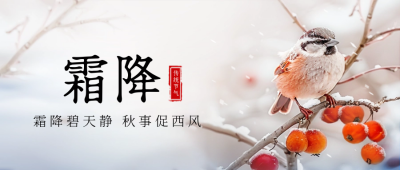 霜降节气小鸟植物实景封面首图 模板ID：71310