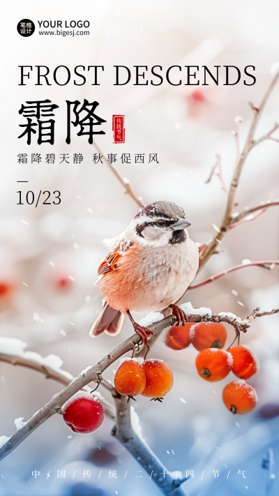 霜降节气小鸟实景植物海报 模板ID:71309