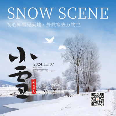 冬天风景小雪节气实景方形海报 模板ID：71869