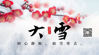 大雪节气祝福实景宣传二维码 模板ID：72479