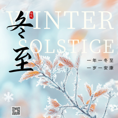 文艺冬至节气雪景方形海报 模板ID：73148