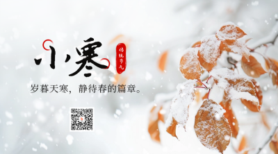 小寒节气冬季霜雪树叶实景二维码 模板ID：73818