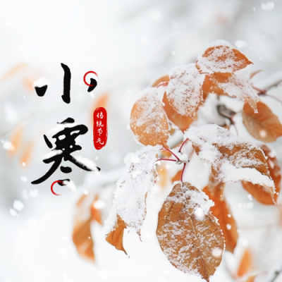 小寒节气冬季霜雪树叶实景封面次图 模板ID：73817