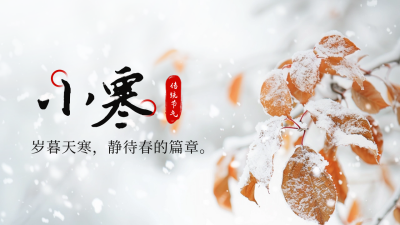 小寒节气冬季霜雪树叶实景公众号新图文封面图 模板ID：73815