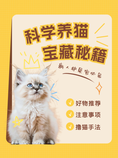 萌宠养猫经验分享小红书封面 模板ID:74289