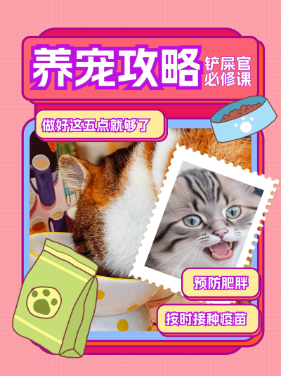 养宠攻略小红书封面 模板ID:74286