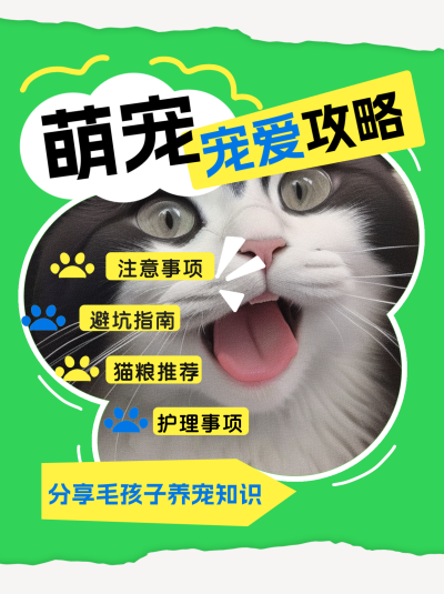 萌宠攻略小红书封面 模板ID：74285
