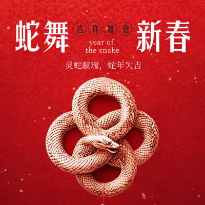 蛇年中国结春节祝福方形海报 模板ID：74021