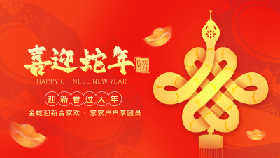 新年祝福蛇年好运元宝视频封面 模板ID：74520
