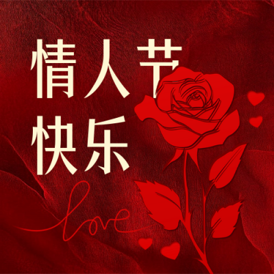 情人节红玫瑰祝福公众号次图 模板ID：75468