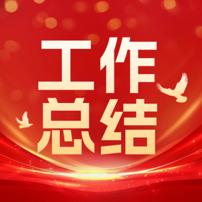 政务工作会议总结报告简约鸽子封面次图 模板ID：75694