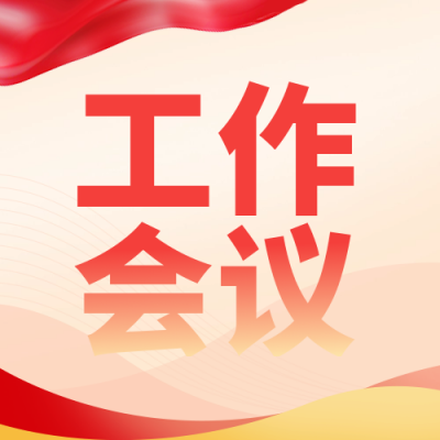 政务工作会议总结报告简约封面次图 模板ID：75692