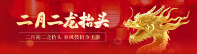二月初二龙抬头喜庆3D龙祝福引导关注 模板ID：759107