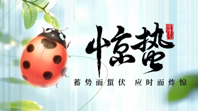 惊蛰节气祝福日签宣传公众号图文封面 模板ID：759426
