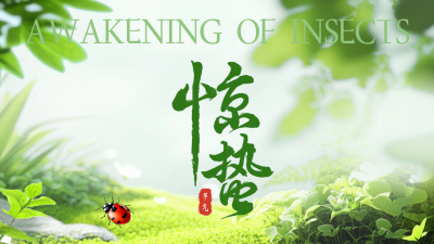 惊蛰节气实景祝福公众号图文封面 模板ID：759434