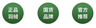 产品宣传活动直播间挂件 模板ID:760089