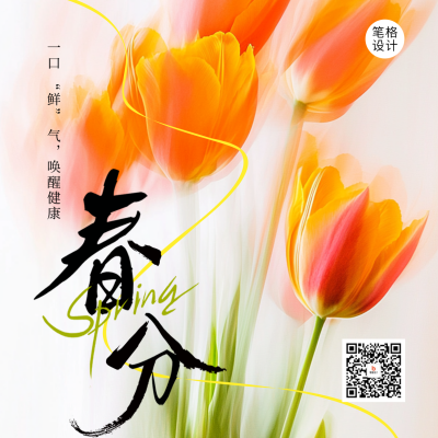 春分节气祝福实景宣传方形海报 模板ID：760331