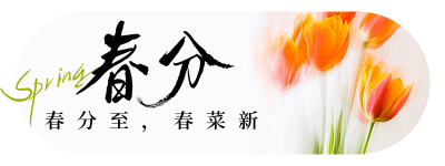 春分节气祝福实景宣传胶囊Banner 模板ID：760332