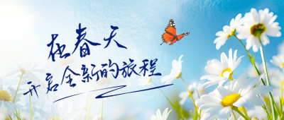 春天雏菊日签问候语实景封面首图 模板ID:760593