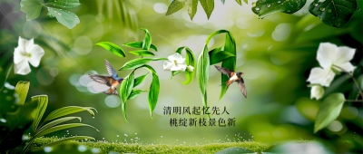 清明节树叶节气实景封面首图 模板ID：760796