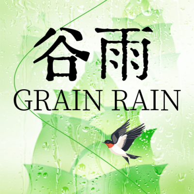 谷雨节气雨水宣传封面次图 模板ID：761222