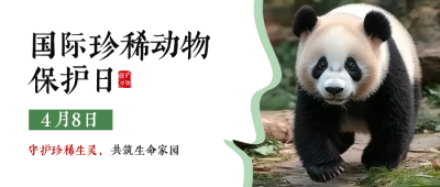 国际珍稀动物保护日宣传公众号首图 模板ID：761306