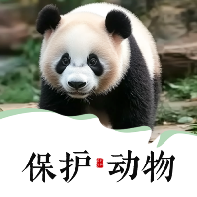 国际珍稀动物保护日宣传公众号次图 模板ID：761307