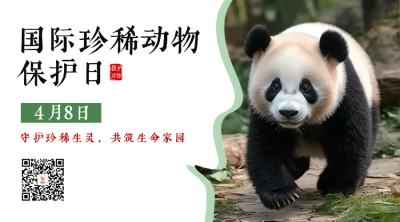国际珍稀动物保护日宣传二维码 模板ID：761305
