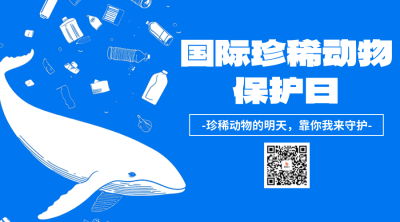 国际珍惜动物保护日宣传二维码 模板ID：761453